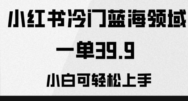 小红书冷门蓝海领域，一单39.9，小白可轻松上手 - 小毅网创-小毅网创