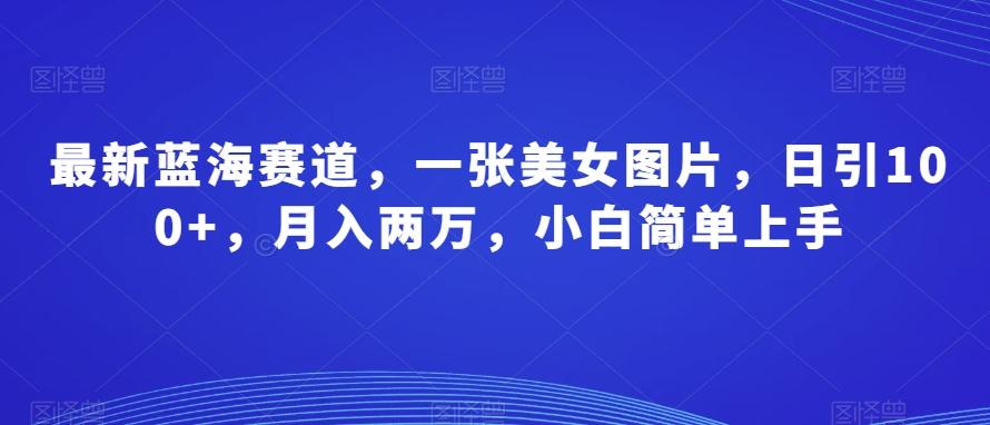 最新蓝海赛道，一张美女图片，日引100+，月入两万，小白简单上手 - 小毅网创-小毅网创