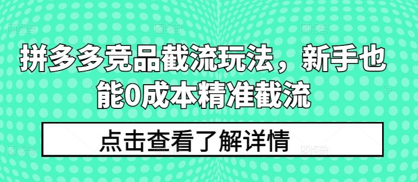 拼多多竞品截流玩法，新手也能0成本精准截流 - 小毅网创-小毅网创