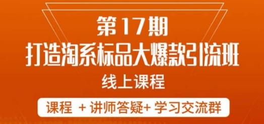 南掌柜-第17期打造淘系标品大爆款，5天线上课 - 小毅网创-小毅网创