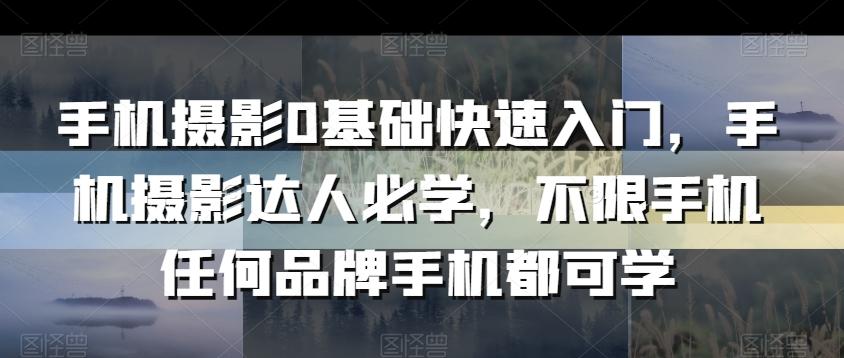 手机摄影0基础快速入门，手机摄影达人必学，不限手机任何品牌手机都可学 - 小毅网创-小毅网创