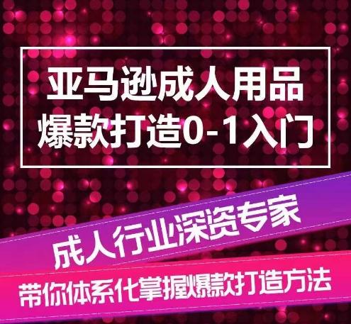 亚马逊成人用品爆款打造0-1入门，系统化讲解亚马逊成人用品爆款打造的流程 - 小毅网创-小毅网创