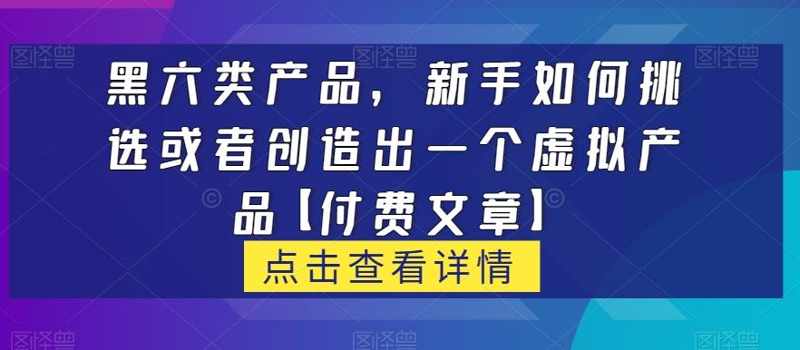 黑六类虚拟产品，新手如何挑选或者创造出一个虚拟产品【付费文章】 - 小毅网创-小毅网创