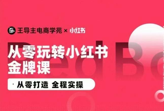 王导主·小红书电商运营实操课，​从零打造  全程实操-小毅网创