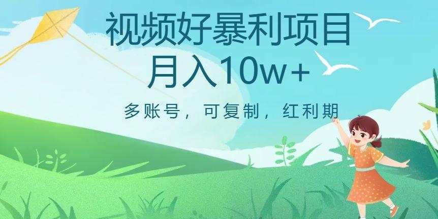 外边收费699项目，视频号暴利项目，多账号可复制，红利期 - 小毅网创-小毅网创