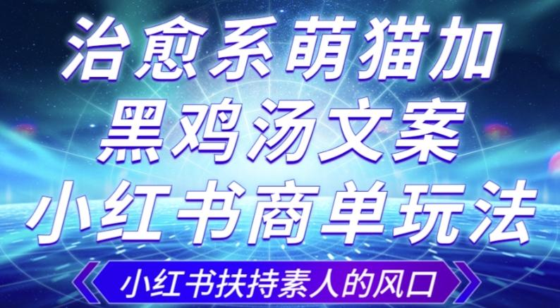 治愈系萌猫加+黑鸡汤文案，小红书商单玩法，3~10天涨到1000粉，一单200左右 - 小毅网创-小毅网创