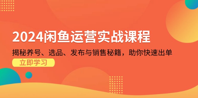 2024闲鱼运营实战课程：揭秘养号、选品、发布与销售秘籍，助你快速出单 - 小毅网创-小毅网创