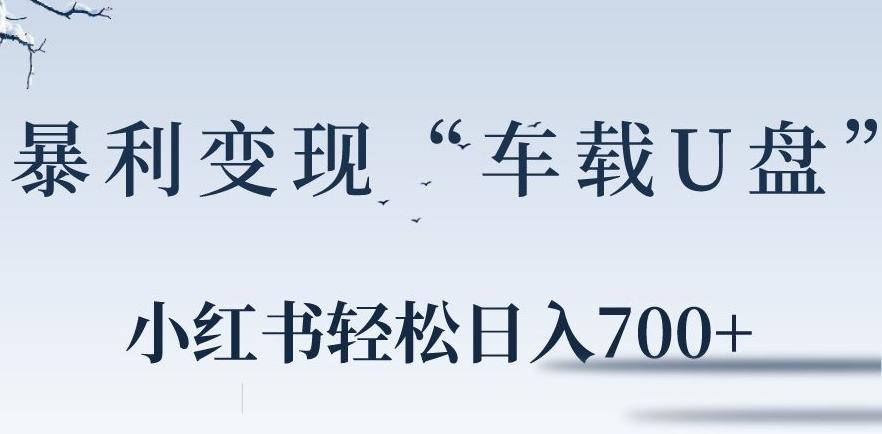 小红书“车载U盘”暴利引流，日入700+ - 小毅网创-小毅网创