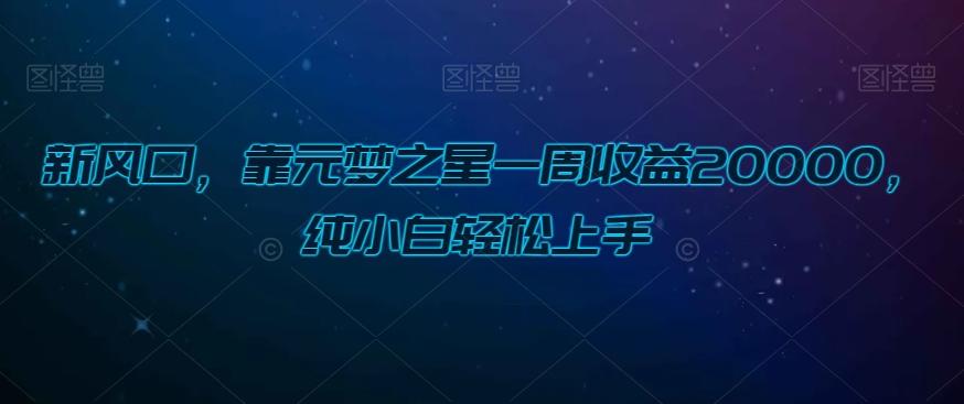 新风口，靠元梦之星一周收益20000，纯小白轻松上手 - 小毅网创-小毅网创