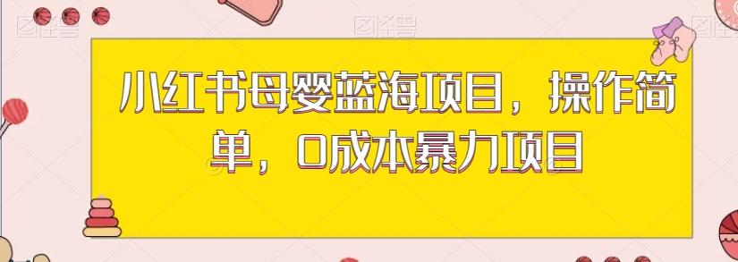 小红书母婴蓝海项目，操作简单，0成本暴力项目 - 小毅网创-小毅网创