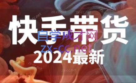 快手带货(2024最新) - 小毅网创-小毅网创