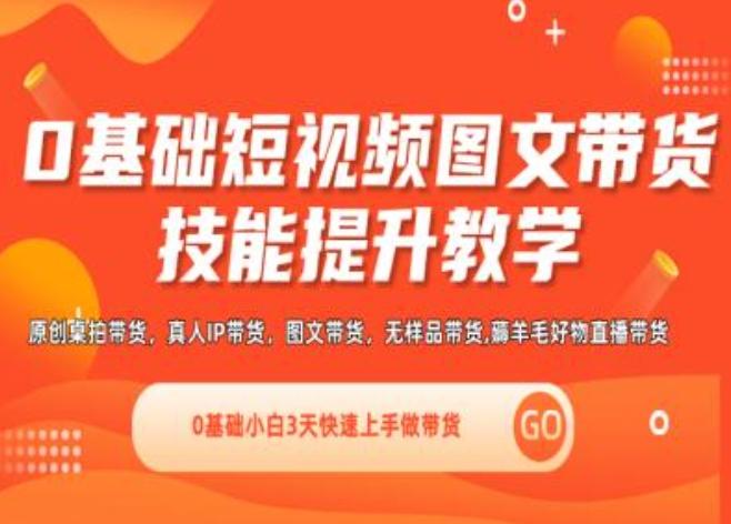 0基础短视频图文带货实操技能提升教学(直播课+视频课),0基础小白3天快速上手做带货 - 小毅网创-小毅网创