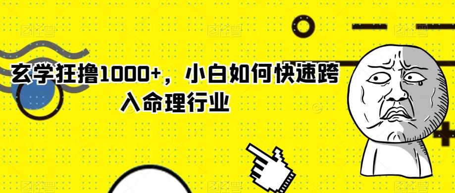玄学狂撸1000+，小白如何快速跨入命理行业 - 小毅网创-小毅网创
