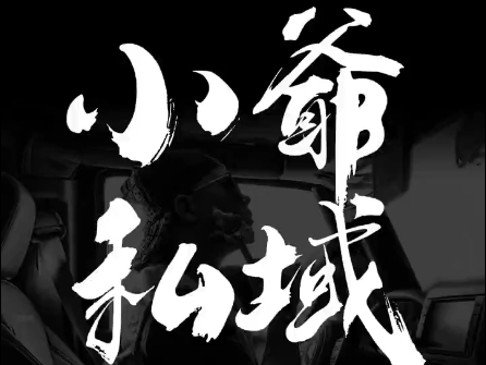 小爷·私域项目操盘手 - 小毅网创-小毅网创