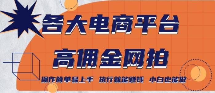 各大电商平台高佣金网拍，操作简单易上手，执行就能赚钱，小白也能做 - 小毅网创-小毅网创