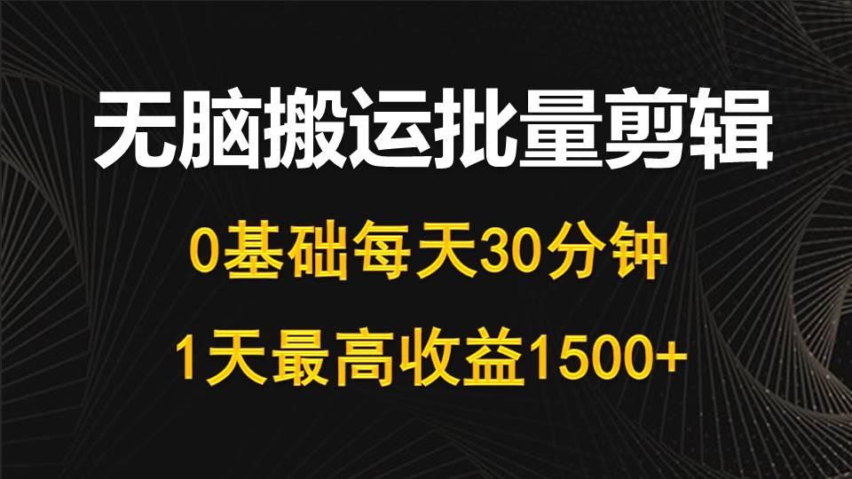 (10008期)每天30分钟，0基础无脑搬运批量剪辑，1天最高收益1500+ - 小毅网创-小毅网创