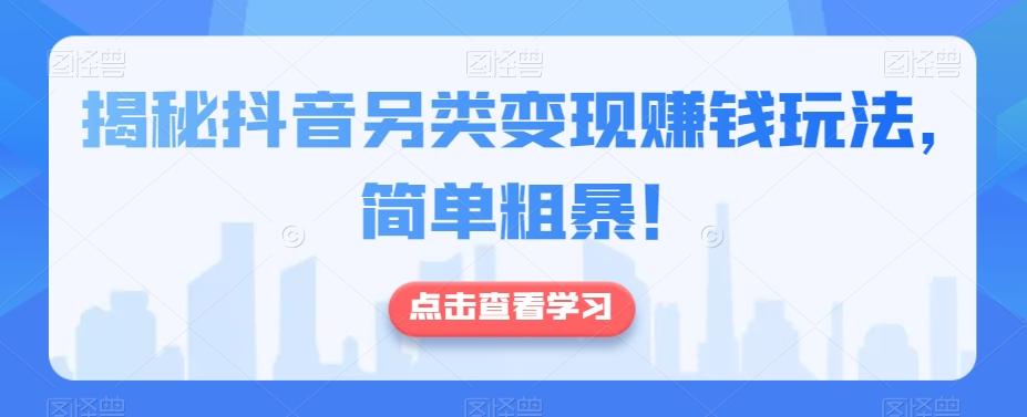 揭秘抖音另类变现赚钱玩法，简单粗暴！ - 小毅网创-小毅网创