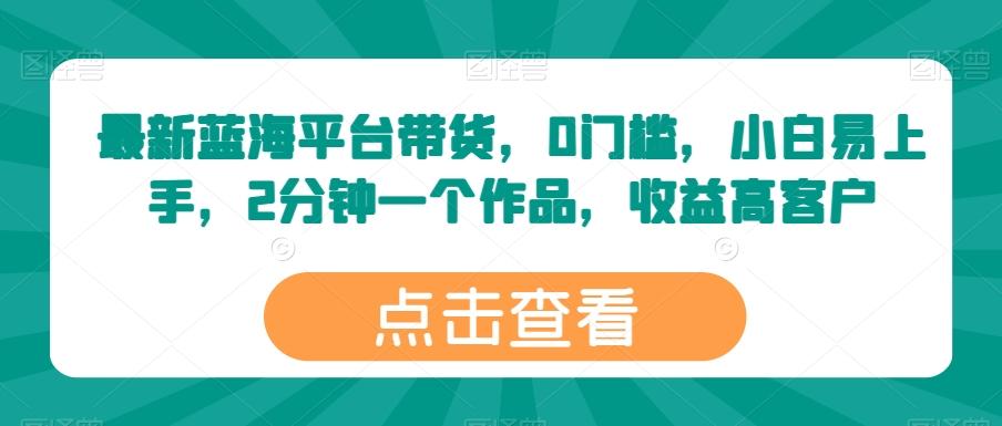 最新蓝海平台带货，0门槛，小白易上手，2分钟一个作品，收益高【揭秘】 - 小毅网创-小毅网创