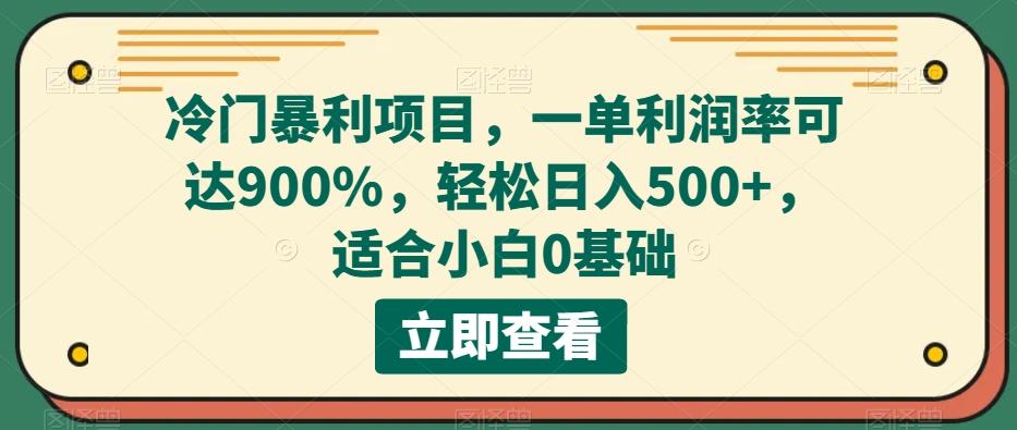 冷门暴利项目，一单利润率可达900%，轻松日入500+，适合小白0基础 - 小毅网创-小毅网创