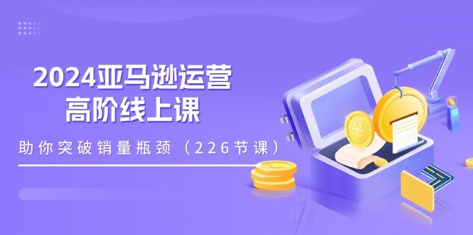 2024亚马逊运营-高阶线上课，助你突破销量瓶颈(228节课 - 小毅网创-小毅网创