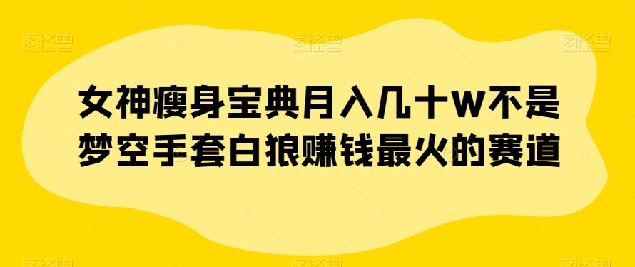 女神瘦身宝典月入几十W不是梦空手套白狼赚钱最火的赛道【揭秘】 - 小毅网创-小毅网创