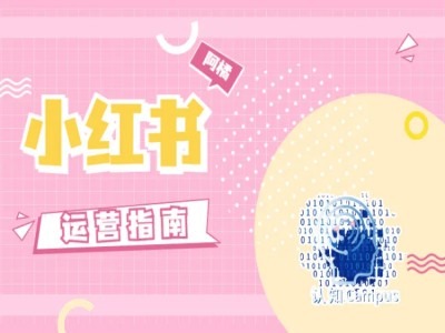 小红书运营指南，没有套路，全是经验 - 小毅网创-小毅网创