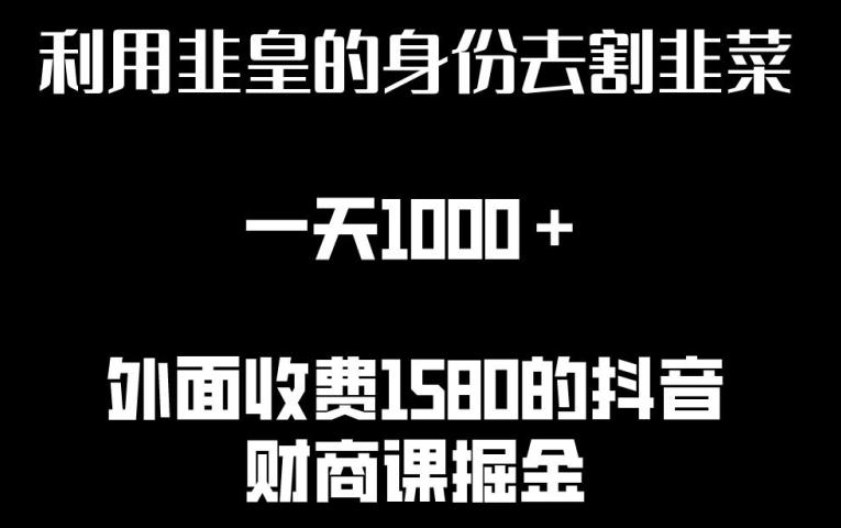 利用非皇的身份去割韭菜，一天1000+(附详细资源)【揭秘】 - 小毅网创-小毅网创