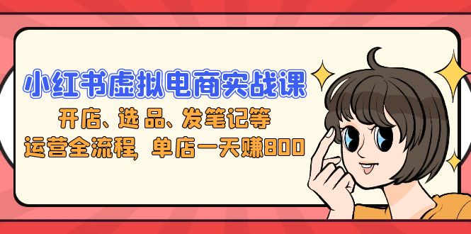 小红书虚拟电商实战课：开店、选品、发笔记等运营全流程，单店一天赚800 - 小毅网创-小毅网创
