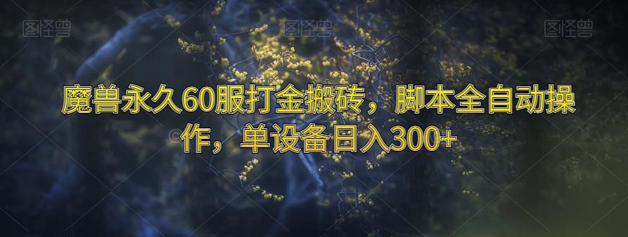 魔兽永久60服打金搬砖，脚本全自动操作，单设备日入300+【揭秘】 - 小毅网创-小毅网创