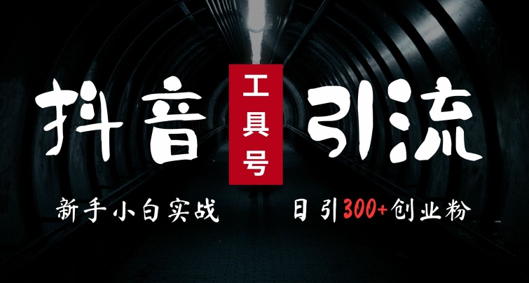 2024最新抖音工具号引流玩法，高效日引300+创业粉，当天变现5k，小白也可成为实战高手 - 小毅网创-小毅网创