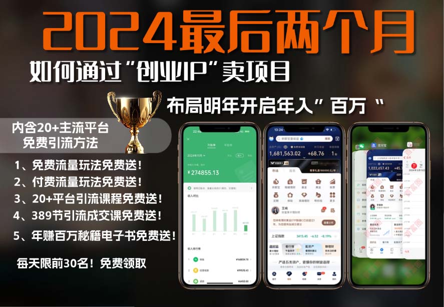 2024最后两个月如何通过”创业IP“卖项目年入”百万“,创业IP+最强引流... - 小毅网创-小毅网创