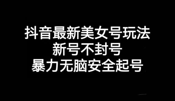 抖音最新美女号玩法，新号不封号，暴力无脑安全起号【揭秘】 - 小毅网创-小毅网创