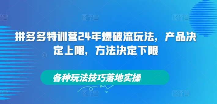 拼多多特训营24年爆破流玩法，产品决定上限，方法决定下限，各种玩法技巧落地实操-小毅网创