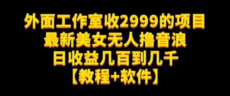 外面工作室收2999的项目最新美女无人撸音浪日收益几百到几千【教程+软件】（仅揭秘） - 小毅网创-小毅网创
