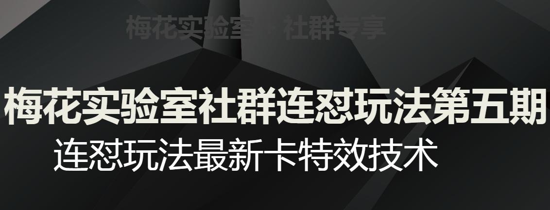 梅花实验室社群连怼玩法第五期，视频号连怼玩法最新卡特效技术 - 小毅网创-小毅网创