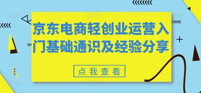 京东电商轻创业运营入门基础通识及经验分享 - 小毅网创-小毅网创