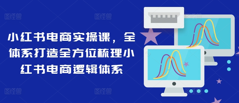 小红书电商实操课，全体系打造全方位梳理小红书电商逻辑体系 - 小毅网创-小毅网创