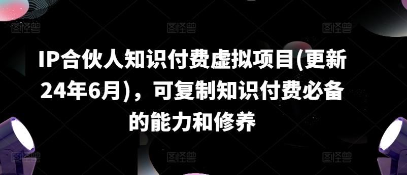 IP合伙人知识付费虚拟项目(更新24年6月)，可复制知识付费必备的能力和修养 - 小毅网创-小毅网创
