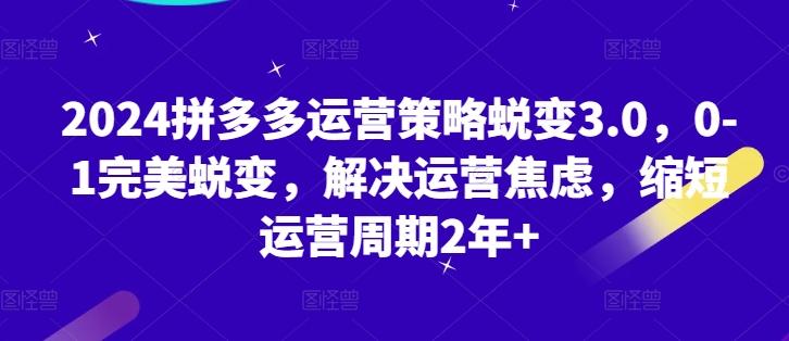 2024拼多多运营策略蜕变3.0，0-1完美蜕变，解决运营焦虑，缩短运营周期2年+ - 小毅网创-小毅网创