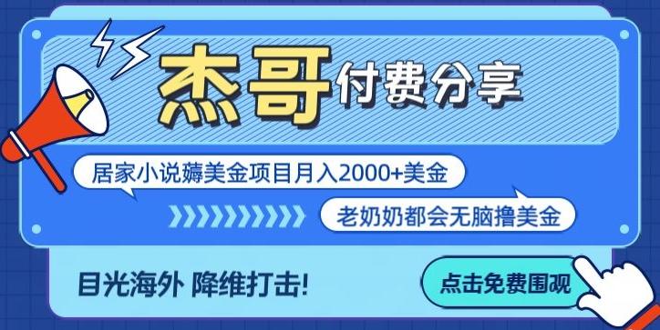 拆解海外撸美金项目月入2000美刀详细指导 - 小毅网创-小毅网创