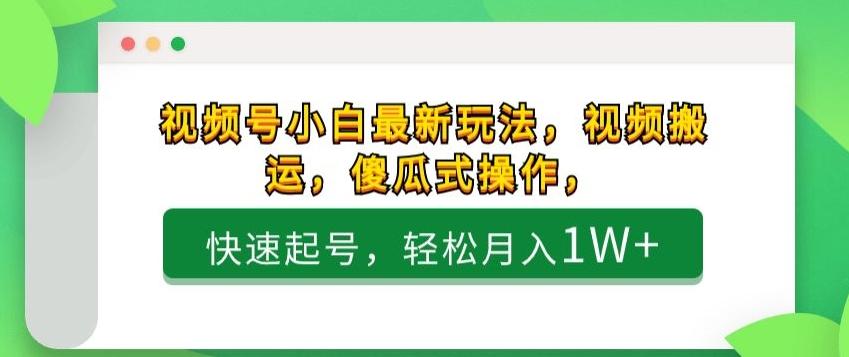 视频号小白最新玩法，视频搬运，傻瓜式操作，快速起号，轻松月入1W+ - 小毅网创-小毅网创