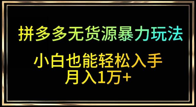 拼多多无货源暴力玩法，全程干货，小白也能轻松入手，月入1万+【揭秘】 - 小毅网创-小毅网创