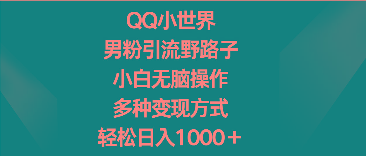 QQ小世界男粉引流野路子，小白无脑操作，多种变现方式轻松日入1000＋ - 小毅网创-小毅网创