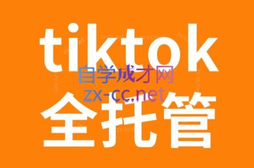 TikTok跨境电商全托管运营模式精品课 - 小毅网创-小毅网创