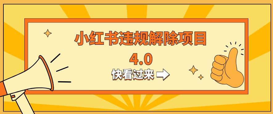 小红书违规掘金蓝海项目，日入800+（附带引流办法及解除办法） - 小毅网创-小毅网创