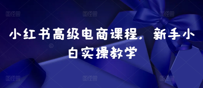 小红书高级电商课程，新手小白实操教学 - 小毅网创-小毅网创