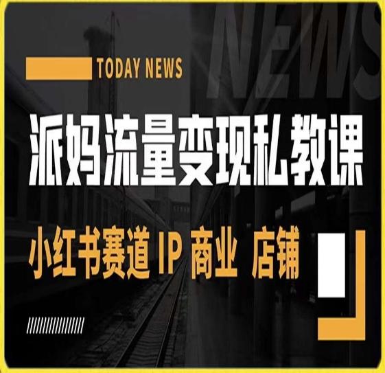 派妈流量变现私教课，小红书赛道IP  商业  店铺  - 小毅网创-小毅网创