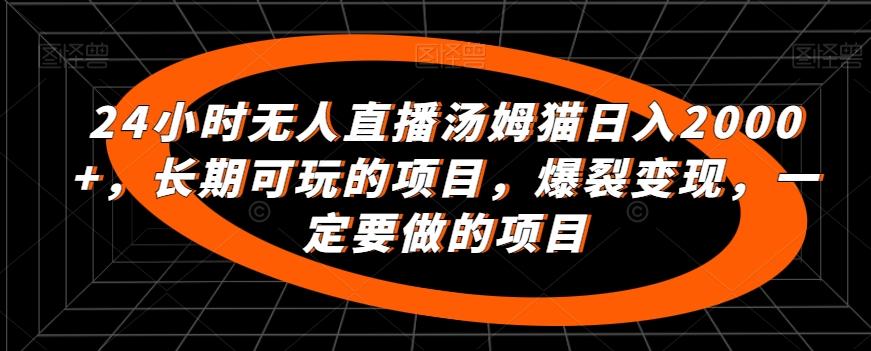 24小时无人直播汤姆猫日入2000+，长期可玩的项目，爆裂变现，一定要做的项目【揭秘】 - 小毅网创-小毅网创