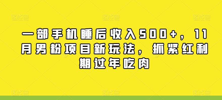 一部手机睡后收入500+，11月男粉项目新玩法，抓紧红利期过年吃肉 - 小毅网创-小毅网创