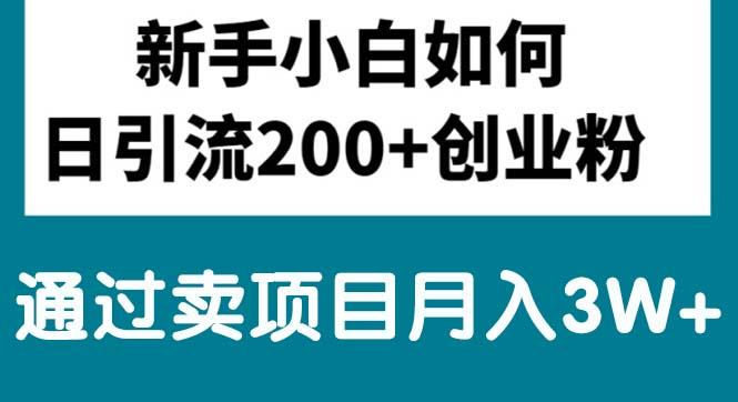 新手小白日引流200+创业粉,通过卖项目月入3W+ - 小毅网创-小毅网创